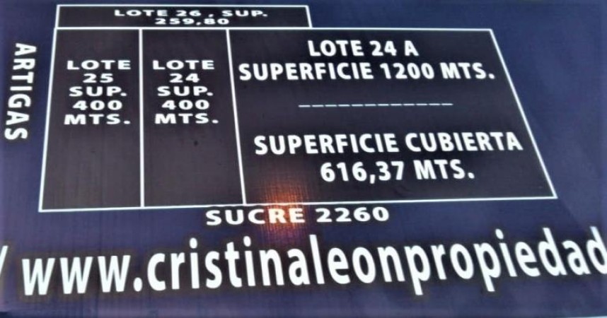 HERMOSOS LOTES DE 260 M2.