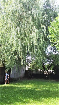 CASA 3 AMB.