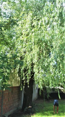 CASA 3 AMB.