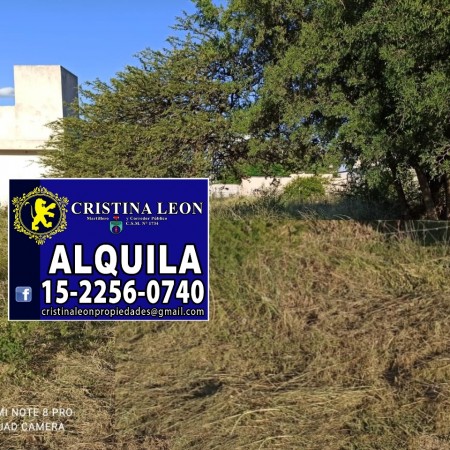 LOTE