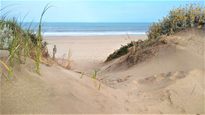 VACACIONES!!! EN VILLA GESELL DEPTO. 3 AMB. AMPLIOS