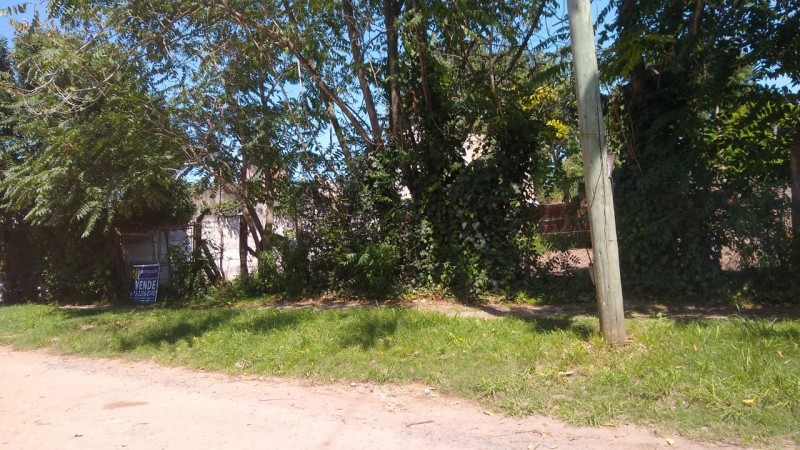 LOTE 340 M2.