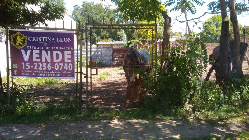 LOTE 300 M2. (BELLA VISTA)