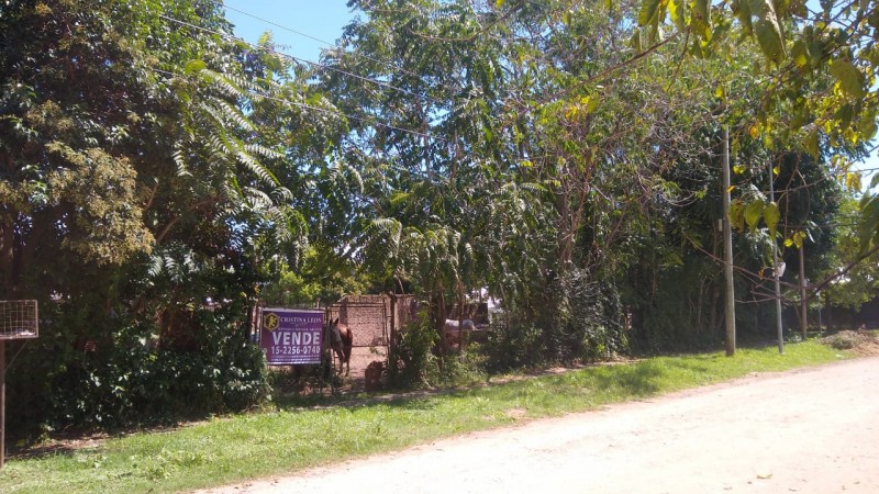 LOTE 300 M2. (BELLA VISTA)