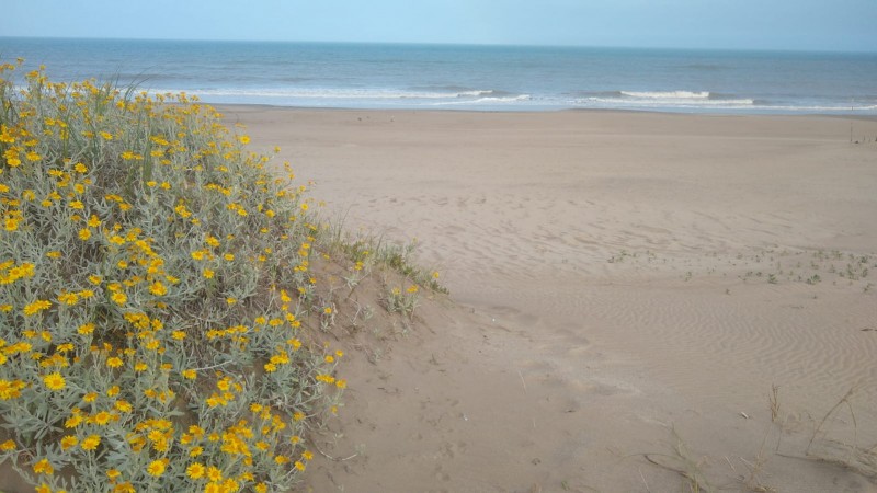 VACACIONES!!! EN VILLA GESELL DEPTO. 3 AMB. AMPLIOS
