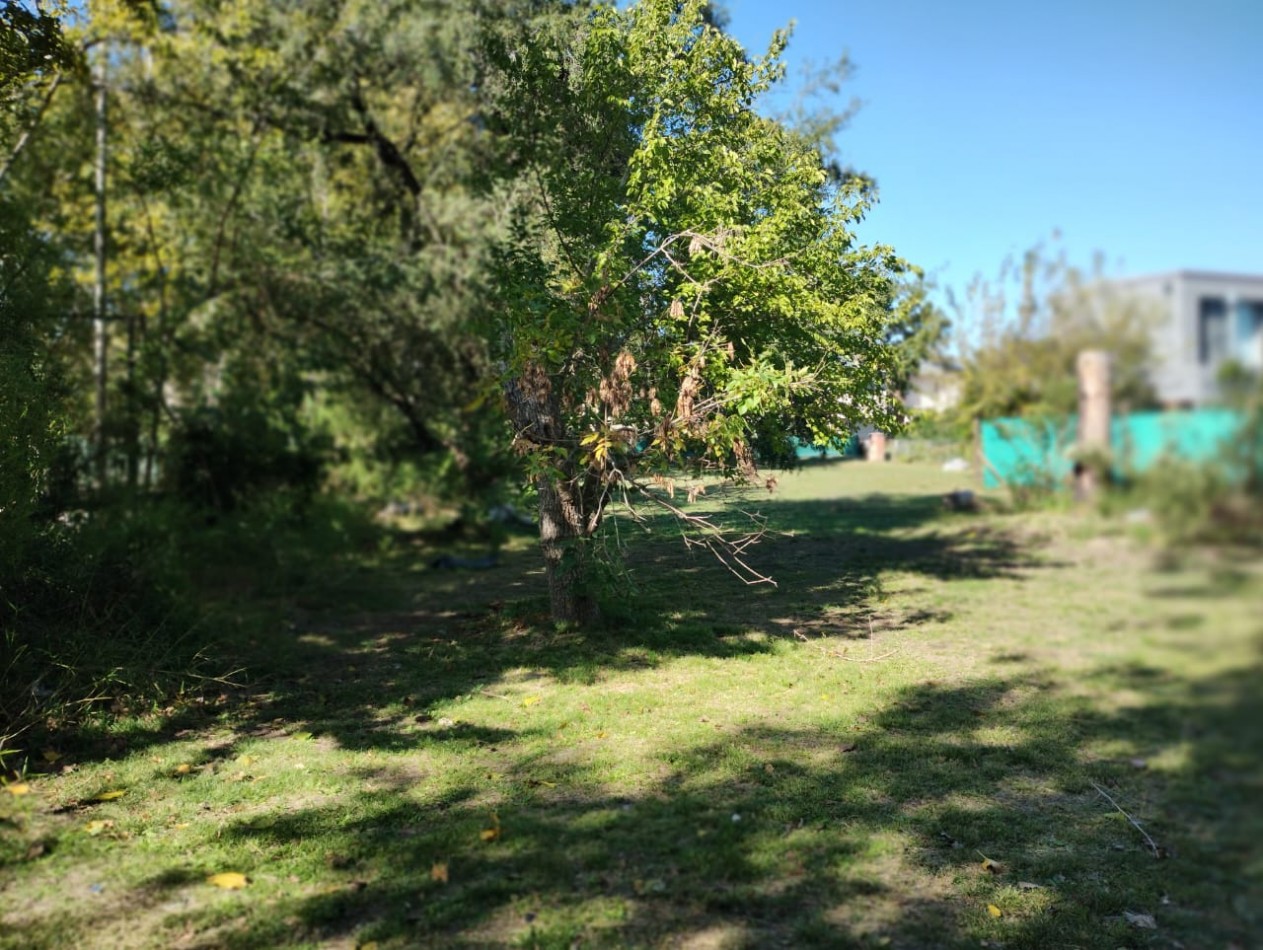 LOTE 900 M2