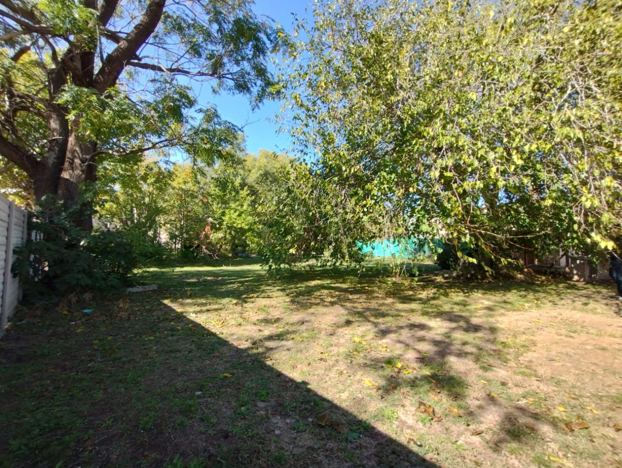 LOTE 900 M2
