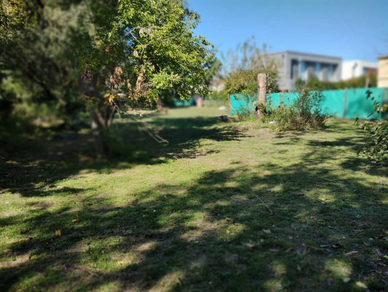 LOTE 900 M2