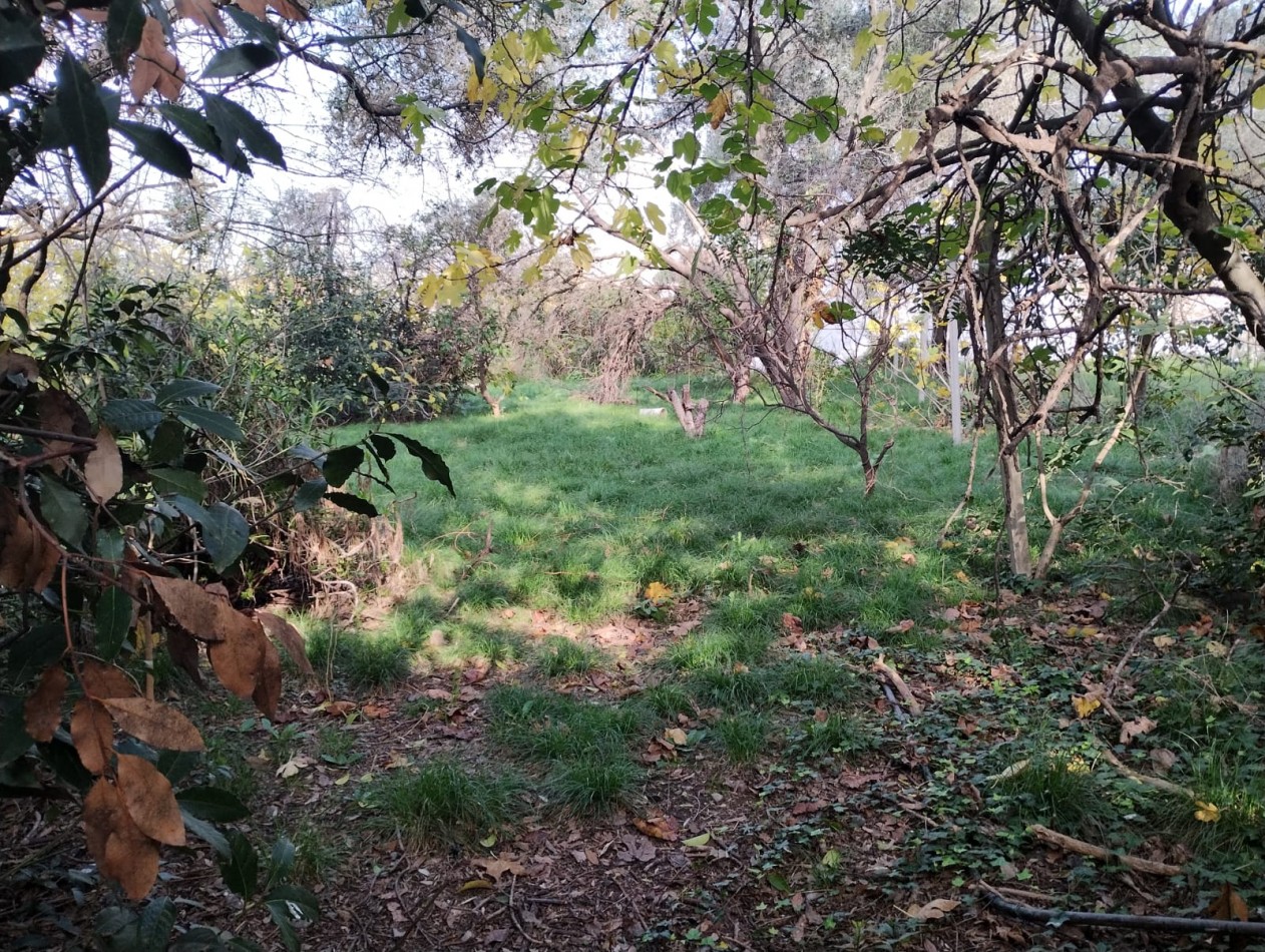 LOTE 2.000 M2. (A METROS RUTA NAC. 197) ING. P. NOGUES