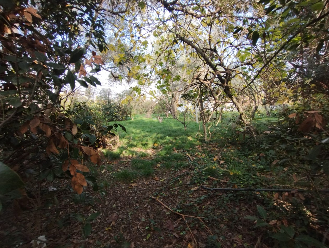 LOTE 2.000 M2. (A METROS RUTA NAC. 197) ING. P. NOGUES