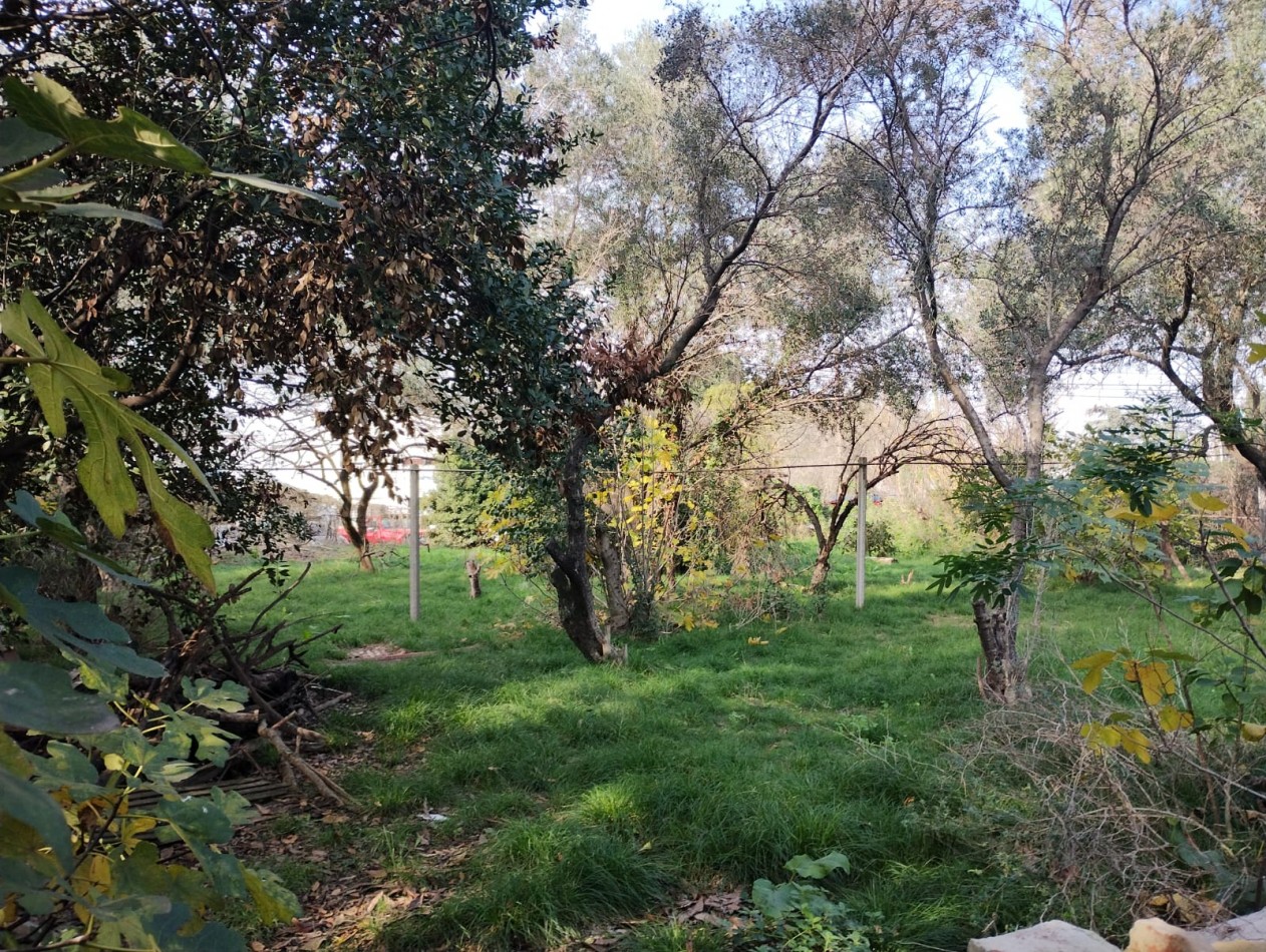 LOTE 2.000 M2. (A METROS RUTA NAC. 197) ING. P. NOGUES