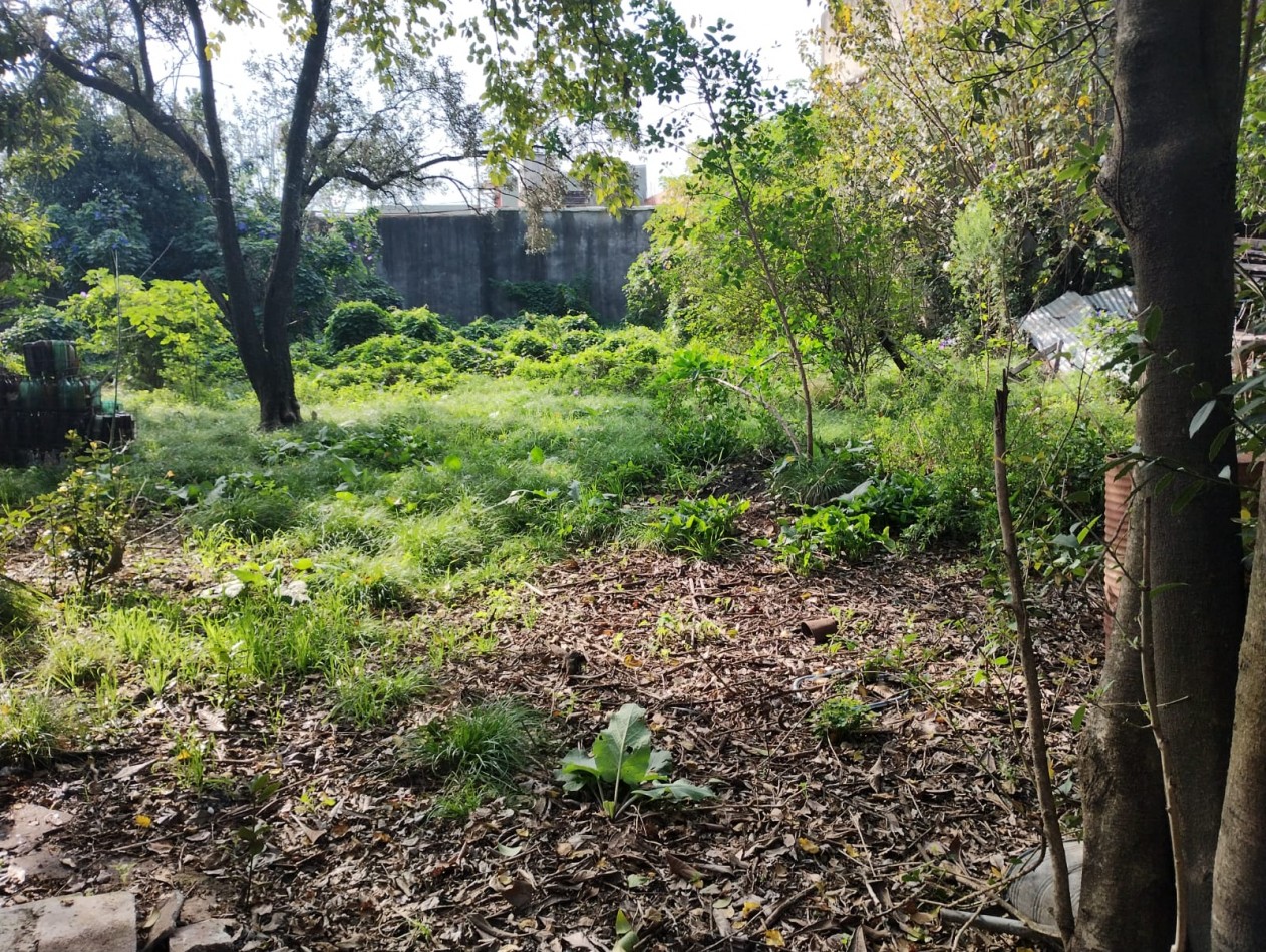 LOTE 2.000 M2. (A METROS RUTA NAC. 197) ING. P. NOGUES