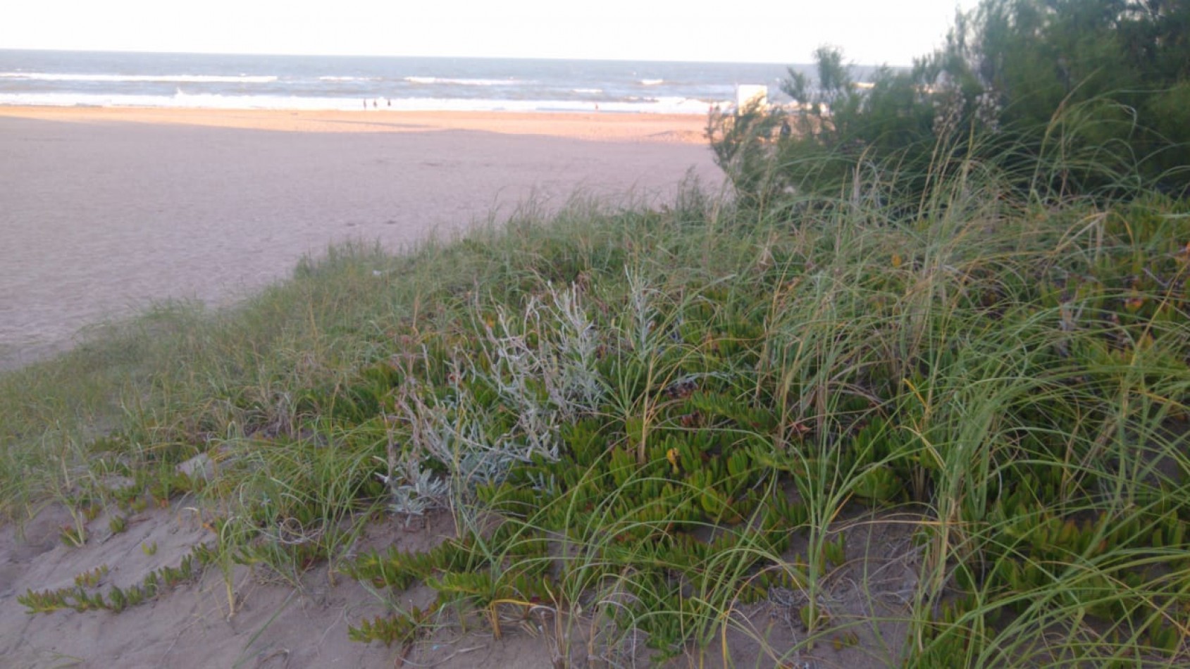VILLA GESELL DEPARTAMENTO 3 AMB. A METROS DE PLAYA