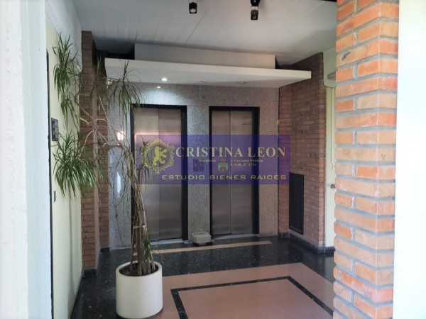 OFICINAS 20 m2. c/u (SAN MIGUEL CTRO.)