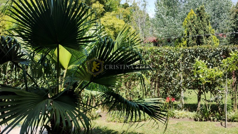 MONOAMBIENTE (BELLA VISTA)