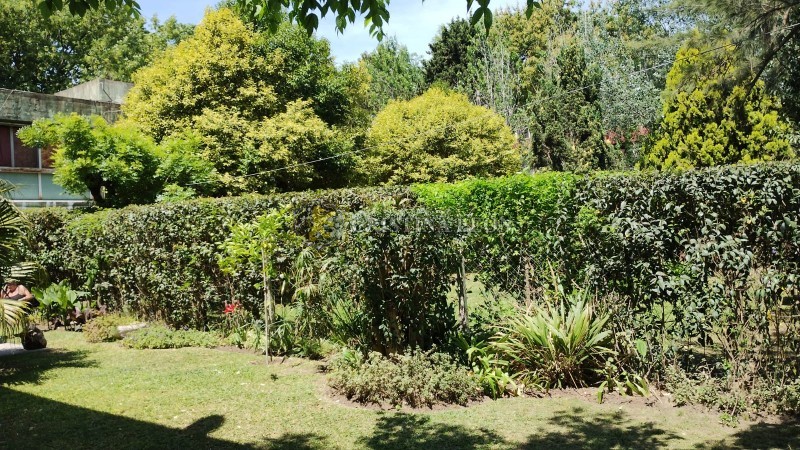 MONOAMBIENTE (BELLA VISTA)