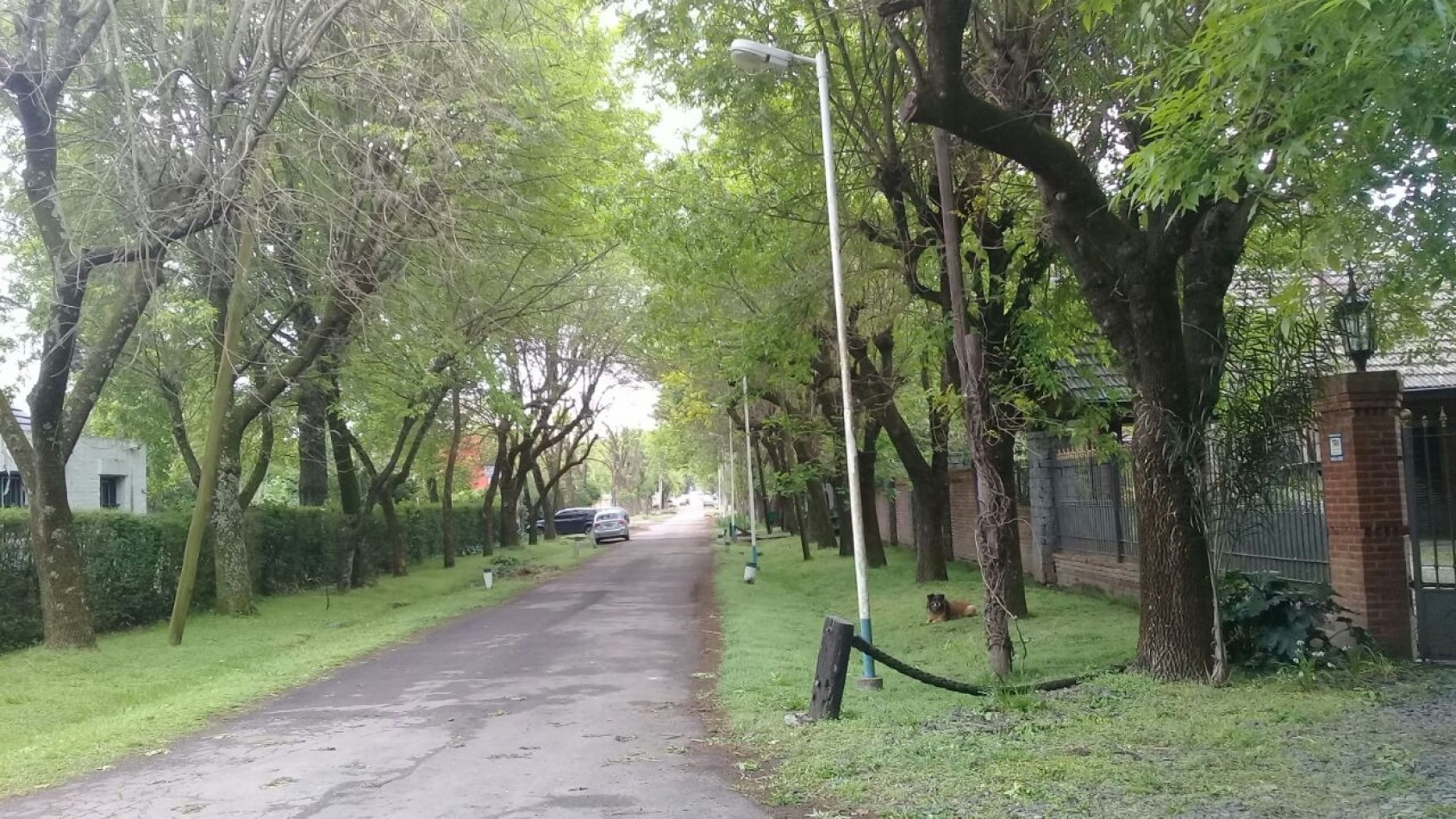 CASA QUINTA 5 AMB. PARQUE/ PISCINA (LOS NOGALES) ALQUILER ANUAL