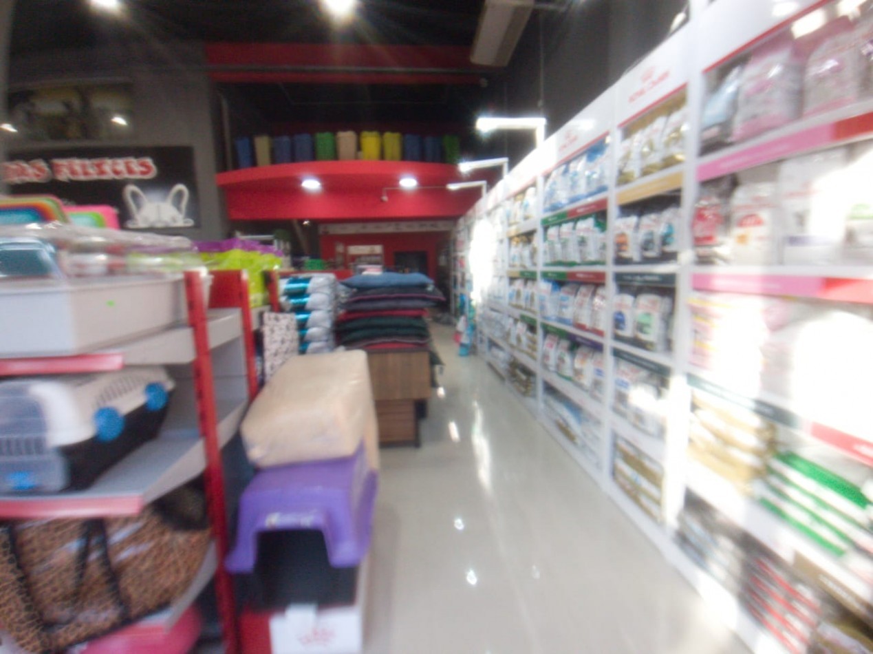 LOCAL 380 M2. C/ ENTREPISO / 2 GALPONES / ENTRADA DE CAMIONES/ LOTE 700 M2.
