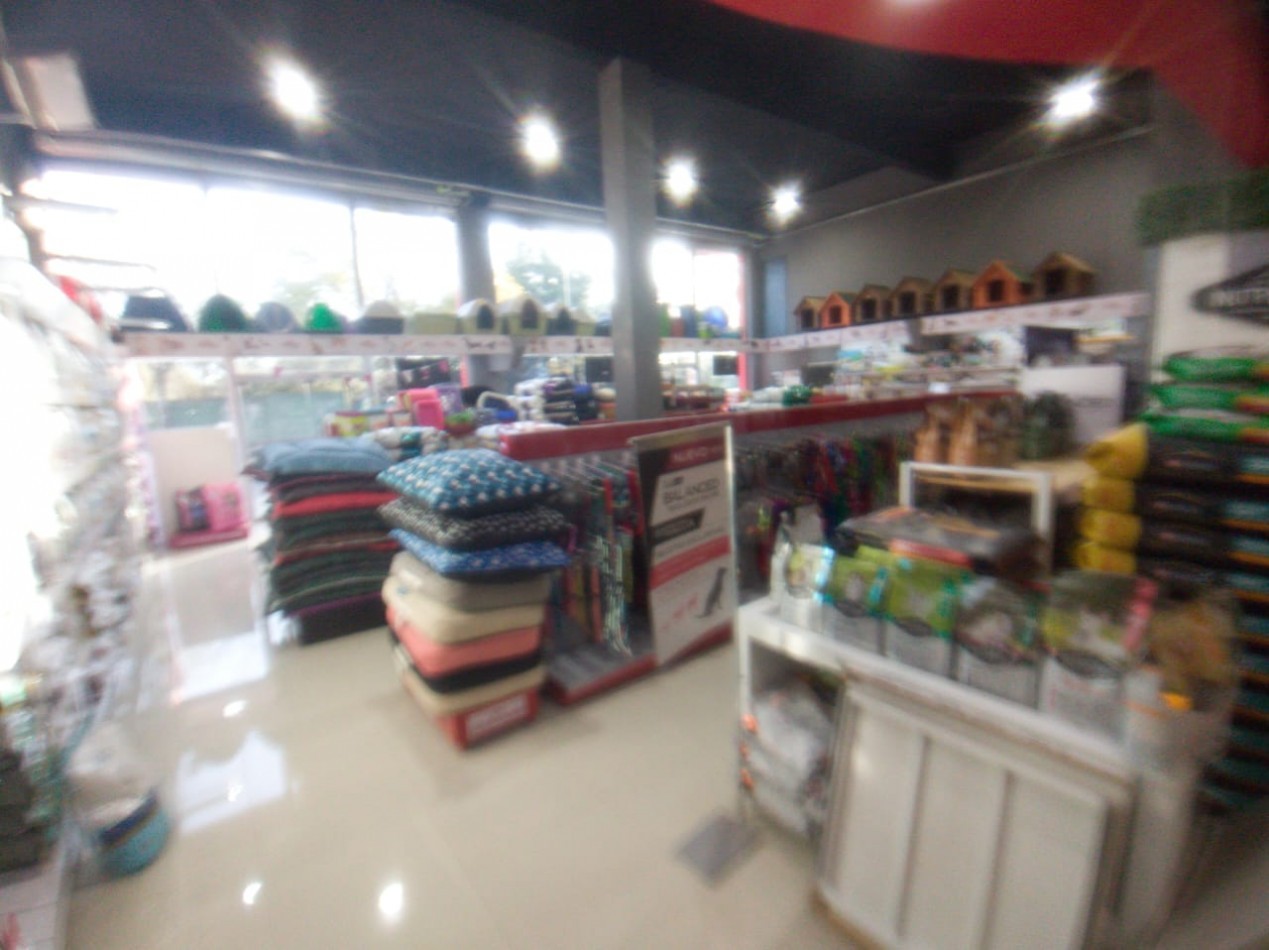 LOCAL 380 M2. C/ ENTREPISO / 2 GALPONES / ENTRADA DE CAMIONES/ LOTE 700 M2.