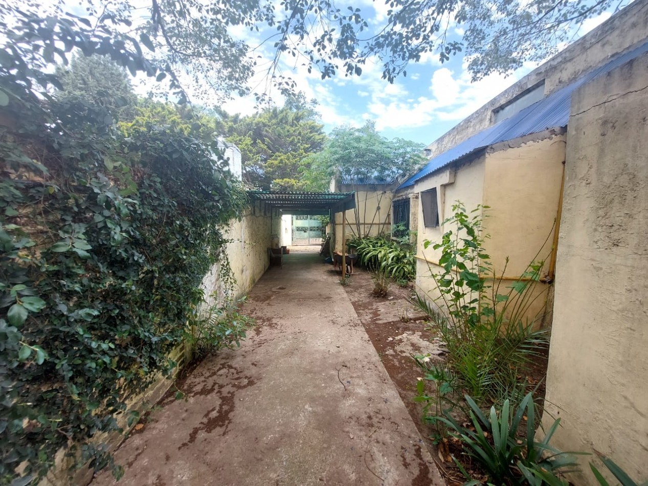 CASA QUINTA 5 AMB. PARQUE/ PISCINA (LOS NOGALES) ALQUILER ANUAL