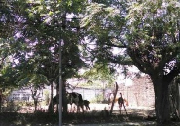 HERMOSO LOTE DE 340 M2. EN ZONA RESIDENCIAL,