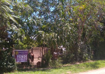 LOTE  340 M2.