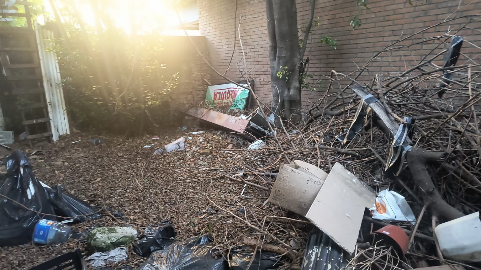 LOCAL CENTRO SAN MIGUEL 40 M2.